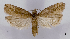  ( - ASTOR-11-0527)  @11 [ ] Unspecified (default): All Rights Reserved  Unspecified Unspecified