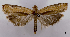  ( - ASTOR-11-0533)  @11 [ ] Unspecified (default): All Rights Reserved  Unspecified Unspecified