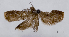  ( - ASTOR-11-0540)  @11 [ ] Unspecified (default): All Rights Reserved  Unspecified Unspecified