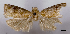  ( - ASTOR-11-0541)  @12 [ ] Unspecified (default): All Rights Reserved  Unspecified Unspecified