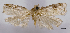  ( - ASTOR-11-0542)  @12 [ ] Unspecified (default): All Rights Reserved  Unspecified Unspecified