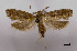  ( - ASTOR-11-0577)  @11 [ ] Unspecified (default): All Rights Reserved  Unspecified Unspecified