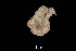  ( - JR15005_933)  @11 [ ] Unspecified (default): All Rights Reserved  Unspecified Unspecified