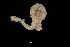  ( - JR15005_933)  @11 [ ] Unspecified (default): All Rights Reserved  Unspecified Unspecified