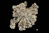 ( - JR15005_1381.32)  @11 [ ] Unspecified (default): All Rights Reserved  Unspecified Unspecified