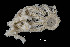  ( - JR15005_1713)  @11 [ ] Unspecified (default): All Rights Reserved  Unspecified Unspecified