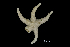  ( - ACE ASCCC 0786)  @11 [ ] Unspecified (default): All Rights Reserved  Unspecified Unspecified