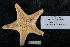  ( - Uni_Mag_PH6)  @11 [ ] Unspecified (default): All Rights Reserved  Unspecified Unspecified