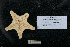  ( - Uni_Mag_PH7)  @11 [ ] Unspecified (default): All Rights Reserved  Unspecified Unspecified