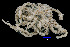  ( - JR262_9.2)  @11 [ ] Unspecified (default): All Rights Reserved  Unspecified Unspecified