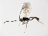  ( - 07PROBE-23949)  @13 [ ] CreativeCommons - Attribution (2010) Unspecified Centre for Biodiversity Genomics