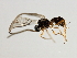  ( - 07PROBE-23963)  @12 [ ] CreativeCommons - Attribution (2010) Unspecified Centre for Biodiversity Genomics