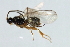  ( - 07PROBE-23984)  @12 [ ] CreativeCommons - Attribution (2010) Unspecified Centre for Biodiversity Genomics