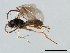  ( - 07PROBE-24029)  @12 [ ] CreativeCommons - Attribution (2010) Unspecified Centre for Biodiversity Genomics