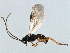  ( - 07PROBE-24058)  @13 [ ] CreativeCommons - Attribution (2010) Unspecified Centre for Biodiversity Genomics