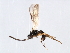  ( - 07PROBE-24127)  @13 [ ] CreativeCommons - Attribution (2010) Unspecified Centre for Biodiversity Genomics