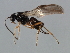  ( - 07PROBE-24133)  @13 [ ] CreativeCommons - Attribution (2010) Unspecified Centre for Biodiversity Genomics
