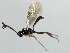  ( - 07PROBE-24338)  @13 [ ] CreativeCommons - Attribution (2009) Unspecified Centre for Biodiversity Genomics