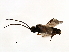  ( - 07PROBE-21070)  @12 [ ] CreativeCommons - Attribution (2009) Unspecified Centre for Biodiversity Genomics