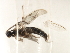  ( - 07PROBE-21133)  @12 [ ] CreativeCommons - Attribution (2009) Unspecified Centre for Biodiversity Genomics