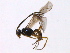  ( - 07PROBE-21622)  @13 [ ] CreativeCommons - Attribution (2009) Unspecified Centre for Biodiversity Genomics
