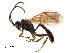  ( - 07PROBE-21657)  @13 [ ] CreativeCommons - Attribution (2009) Unspecified Centre for Biodiversity Genomics