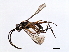  ( - 07PROBE-21837)  @13 [ ] CreativeCommons - Attribution (2009) Unspecified Centre for Biodiversity Genomics