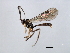  ( - 07PROBE-21854)  @12 [ ] CreativeCommons - Attribution (2009) Unspecified Centre for Biodiversity Genomics