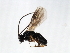  ( - 07PROBE-21873)  @12 [ ] CreativeCommons - Attribution (2009) Unspecified Centre for Biodiversity Genomics