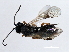  ( - 07PROBE-21875)  @12 [ ] CreativeCommons - Attribution (2009) Unspecified Centre for Biodiversity Genomics