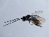  ( - 07PROBE-21891)  @12 [ ] CreativeCommons - Attribution (2009) Unspecified Centre for Biodiversity Genomics