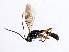  ( - 07PROBE-21920)  @13 [ ] CreativeCommons - Attribution (2009) Unspecified Centre for Biodiversity Genomics