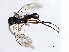  ( - 07PROBE-21988)  @13 [ ] CreativeCommons - Attribution (2009) Unspecified Centre for Biodiversity Genomics