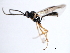  ( - 07PROBE-21989)  @13 [ ] CreativeCommons - Attribution (2009) Unspecified Centre for Biodiversity Genomics