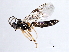  ( - 07PROBE-21990)  @13 [ ] CreativeCommons - Attribution (2009) Unspecified Centre for Biodiversity Genomics