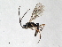  ( - 07PROBE-21992)  @13 [ ] CreativeCommons - Attribution (2009) Unspecified Centre for Biodiversity Genomics