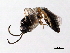  ( - 07PROBE-22025)  @13 [ ] CreativeCommons - Attribution (2009) Unspecified Centre for Biodiversity Genomics