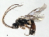  ( - 07PROBE-22037)  @11 [ ] CreativeCommons - Attribution (2009) Unspecified Centre for Biodiversity Genomics