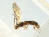  ( - 07PROBE-22139)  @13 [ ] CreativeCommons - Attribution (2009) Unspecified Centre for Biodiversity Genomics