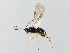  ( - 07PROBE-22184)  @13 [ ] CreativeCommons - Attribution (2009) Unspecified Centre for Biodiversity Genomics