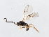  ( - 07PROBE-22185)  @13 [ ] CreativeCommons - Attribution (2009) Unspecified Centre for Biodiversity Genomics