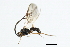  ( - 07PROBE-22222)  @13 [ ] CreativeCommons - Attribution (2009) Unspecified Centre for Biodiversity Genomics