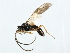  ( - 07PROBE-22239)  @13 [ ] CreativeCommons - Attribution (2009) Unspecified Centre for Biodiversity Genomics