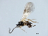  ( - 07PROBE-22269)  @13 [ ] CreativeCommons - Attribution (2009) Unspecified Centre for Biodiversity Genomics