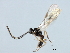  (Alysia jft01 - 07PROBE-22271)  @13 [ ] CreativeCommons - Attribution (2009) Unspecified Centre for Biodiversity Genomics