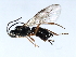  ( - 07PROBE-22279)  @12 [ ] CreativeCommons - Attribution (2009) Unspecified Centre for Biodiversity Genomics
