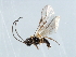  ( - 07PROBE-22282)  @13 [ ] CreativeCommons - Attribution (2009) Unspecified Centre for Biodiversity Genomics