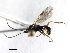  ( - 07PROBE-22639)  @12 [ ] CreativeCommons - Attribution (2009) Unspecified Centre for Biodiversity Genomics