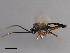  ( - 07PROBE-22732)  @13 [ ] CreativeCommons - Attribution (2009) Unspecified Centre for Biodiversity Genomics