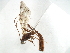  ( - 07PROBE-23000)  @12 [ ] CreativeCommons - Attribution (2009) Unspecified Centre for Biodiversity Genomics